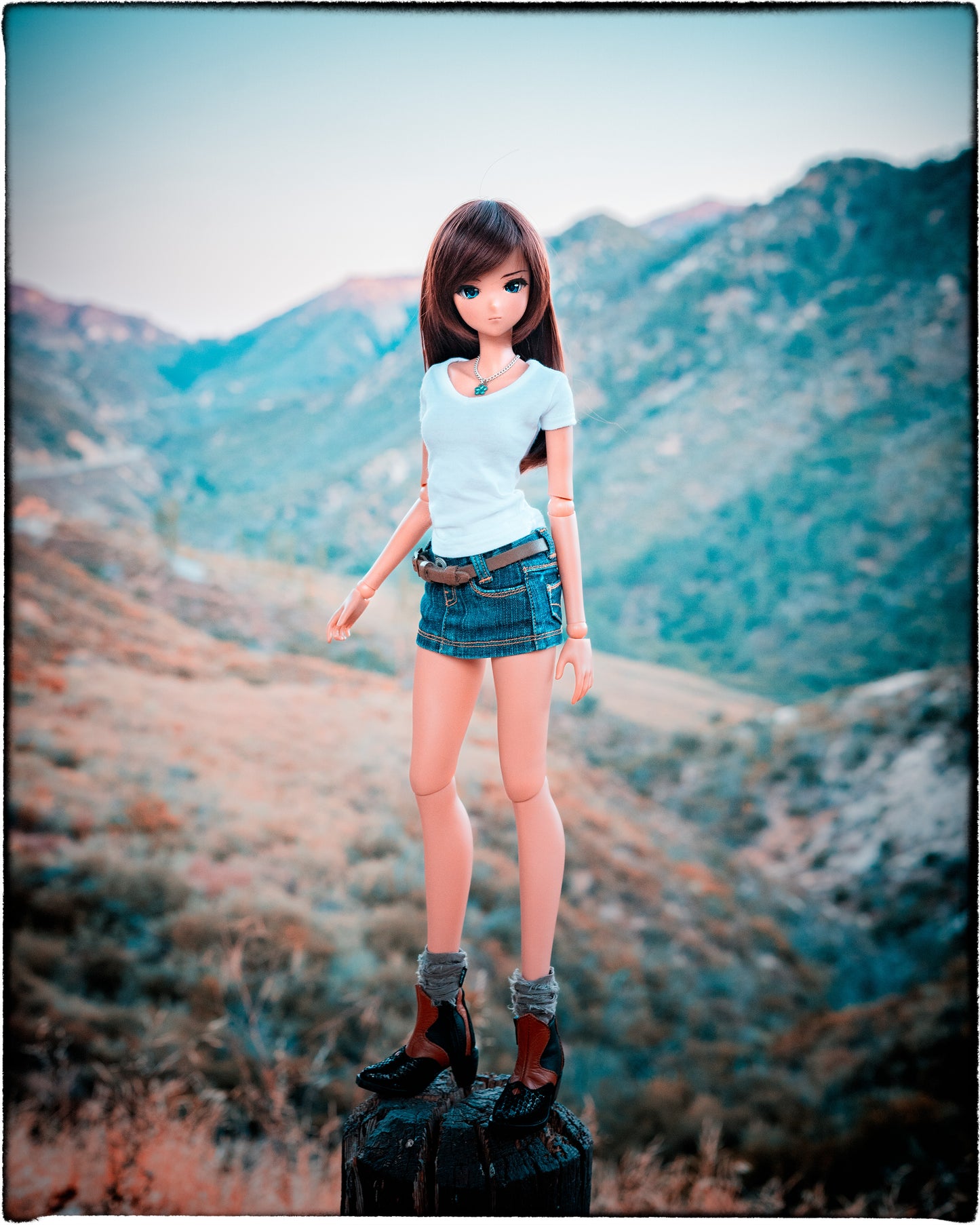 Western Boots Shoes for Smardoll